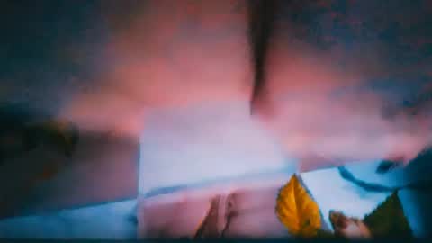Snapshot of alinafrey_ chatting on 29, 6, 2026 Alina online show from 29, 6, 2026