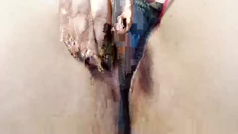 alisesexydoll777 online show from 13, 1, 2026