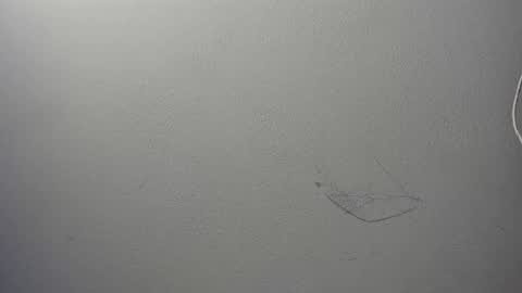 Snapshot of alison_smith372242 chatting on 4, 1, 2025 alison smith online show from 4, 1, 2025