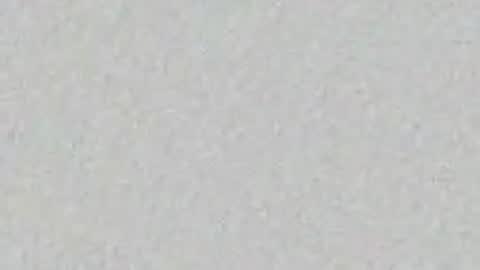 Alisse online show from 10, 4, 2026