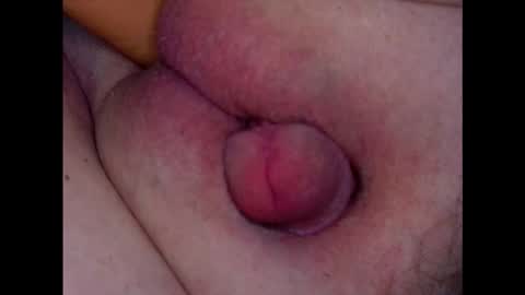 Growing Wiener online show from 4, 3, 2026