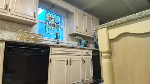 Snapshot of allgood4u chatting on 16, 1, 2026 wishlist on bio online show from 16, 1, 2026