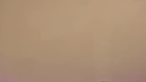    online show from 8, 1, 2026