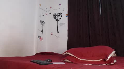 Snapshot of allyka_transsm chatting on 14, 2, 2026 Allyka online show from 14, 2, 2026