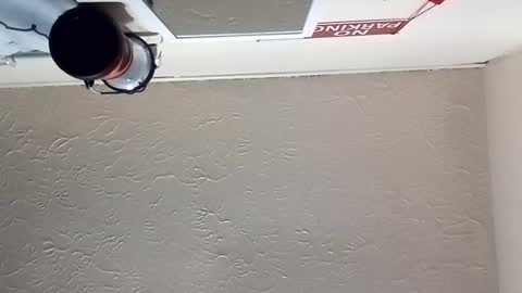 Snapshot of almightyjesos chatting on 30, 10, 2025 almightyjesos online show from 30, 10, 2025