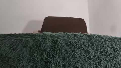 Snapshot of alotofcream chatting on 8, 7, 2026 alotofcream4u online show from 8, 7, 2026