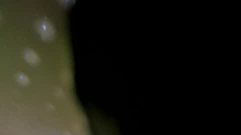 Snapshot of alotta_titties chatting on 5, 2, 2026 alotta_titties online show from 5, 2, 2026