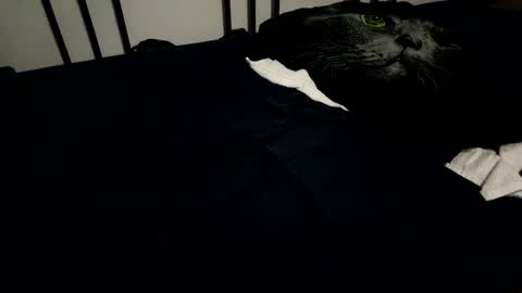 amadeusz online show from 6, 12, 2024