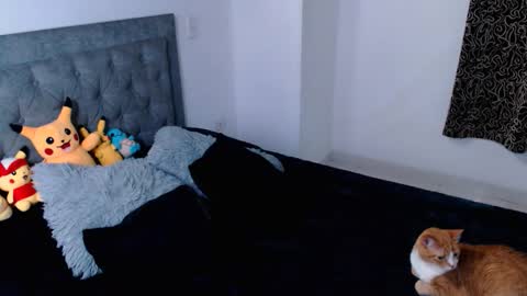 diana online show from 16, 4, 2026