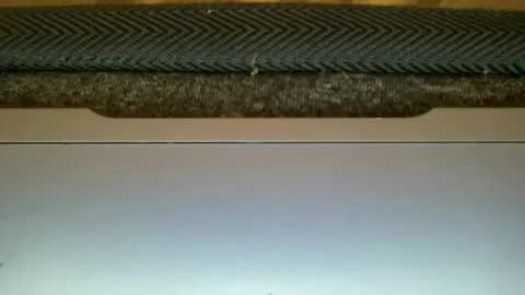 23cm4you online show from 11, 2, 2026