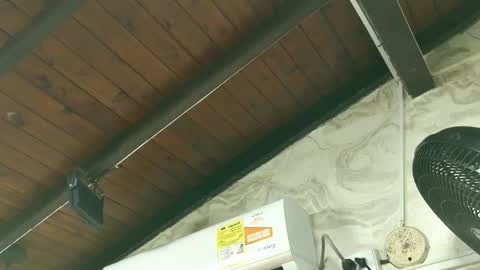 Snapshot of amy_greenee chatting on 1, 3, 2026 amy_greenee online show from 1, 3, 2026