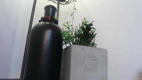 Snapshot of amy_swan09 chatting on 4, 2, 2025 Amy online show from 4, 2, 2025