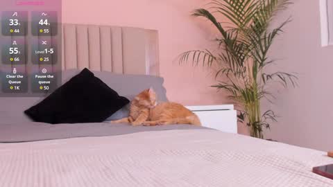 Ana Henao or Annie... Follow me ahenaocb Insta  X online show from 1, 2, 2025