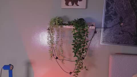 Snapshot of anavicc__ chatting on 20, 2, 2026 Kendra online show from 20, 2, 2026