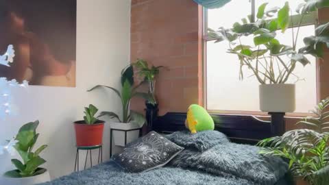 Snapshot of andy_belier chatting on 5, 2, 2026 Andy online show from 5, 2, 2026