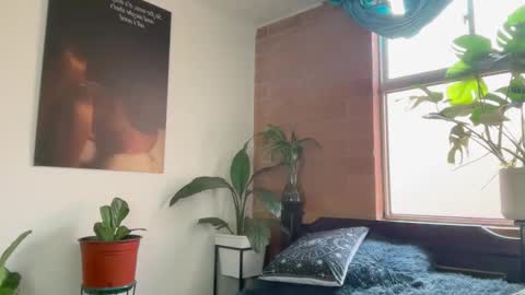 Snapshot of andy_belier chatting on 24, 2, 2026 Andy online show from 24, 2, 2026