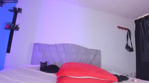 Snapshot of andy_naughty1 chatting on 19, 5, 2026 Andy online show from 19, 5, 2026
