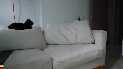 my onlyfans     online show from 28, 3, 2026