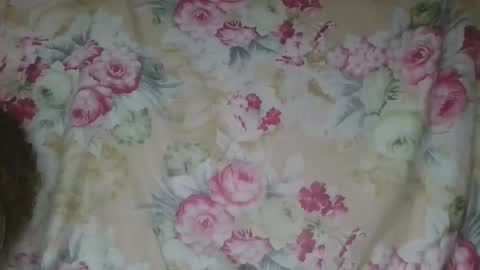 angeeliine online show from 25, 3, 2026