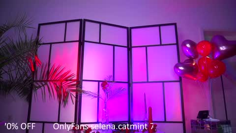 Snapshot of angelandfairieskink chatting on 15, 2, 2026 Aimi Selena Daisy online show from 15, 2, 2026