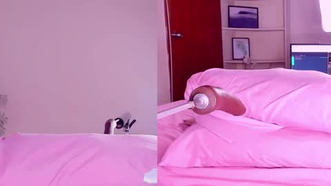Snapshot of angeli__wu chatting on 18, 2, 2025 Angeli  online show from 18, 2, 2025