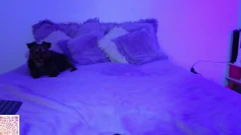 Snapshot of angie_bigboobs chatting on 22, 4, 2026 Angie Gomez Onlyfans angie bigboobs FREE online show from 22, 4, 2026