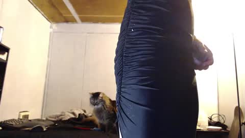 Ani online show from 10, 3, 2025