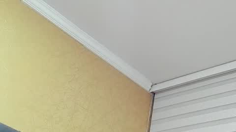       online show from 31, 3, 2026