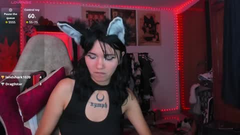 anneharpeer online show from 7, 4, 2026