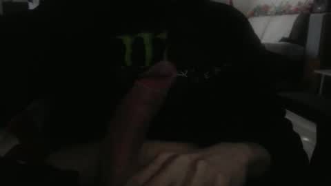 LoyalDog online show from 2, 3, 2026