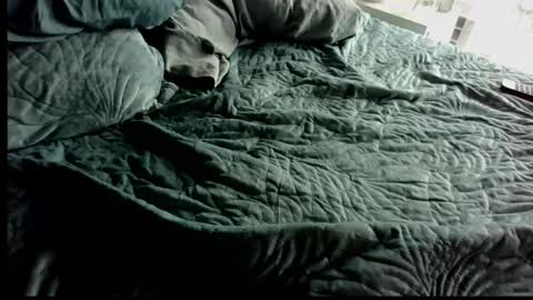 Snapshot of anonpov_couple chatting on 28, 2, 2026 Anonpov couple online show from 28, 2, 2026