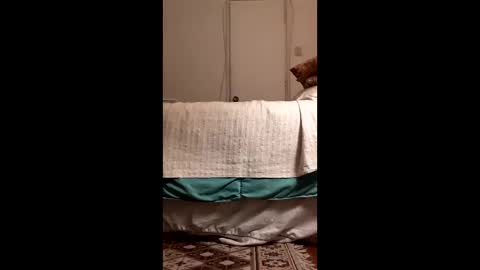 antonino85 online show from 19, 3, 2026