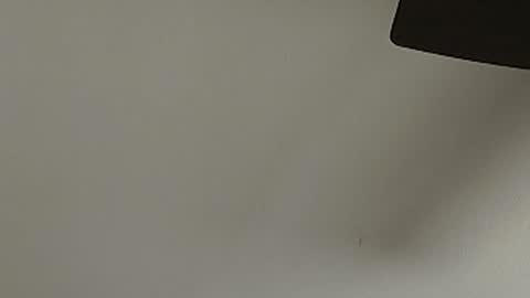 anydaynow2024 online show from 15, 12, 2025