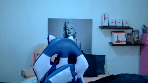 Anyela online show from 5, 8, 2026
