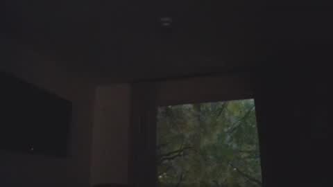 Snapshot of anytime07 chatting on 5, 11, 2025 Daddy online show from 5, 11, 2025