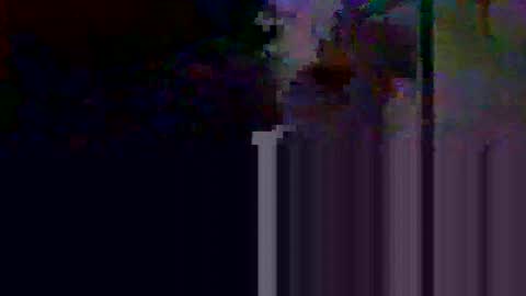 Snapshot of apolosimanu38 chatting on 10, 5, 2026 apolosimanu38 online show from 10, 5, 2026