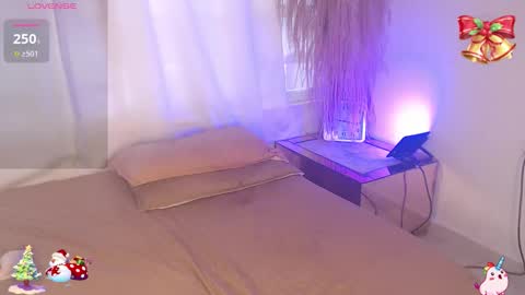          online show from 22, 12, 2025