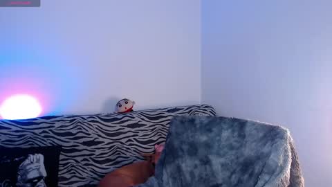 Arabella online show from 17, 4, 2026