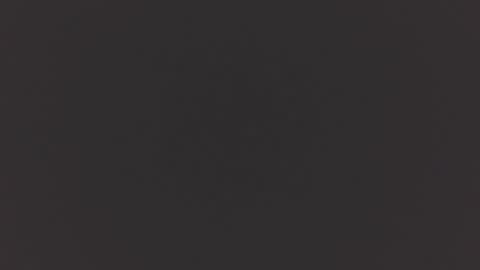 hairycub online show from 4, 12, 2024