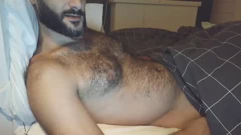 hairycub online show from 25, 12, 2024