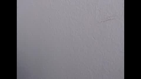 Snapshot of ariannaloovel chatting on 19, 5, 2026 ariannaloovel online show from 19, 5, 2026