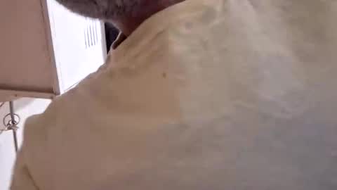 arielferdman online show from 28, 10, 2025