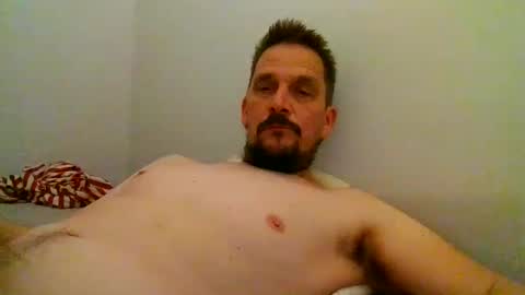 ariparikrigsmann online show from 12, 12, 2024