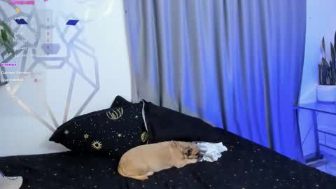 Snapshot of aron_santoro1 chatting on 12, 1, 2025 Aron Santoro online show from 12, 1, 2025