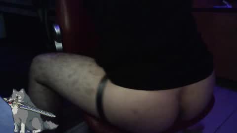 artorias 4 online show from 21, 12, 2024