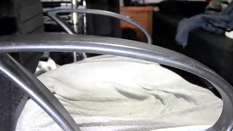 arucard_80 online show from 16, 9, 2025