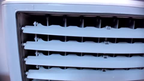 ashlybenison online show from 25, 1, 2025