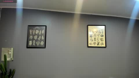 PAO   online show from 15, 3, 2026