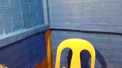 asian_decy online show from 20, 2, 2026