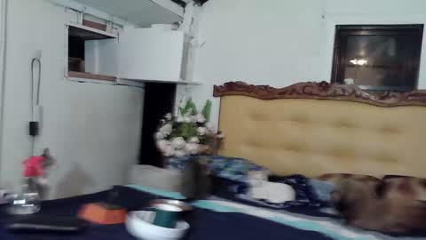 Snapshot of asianladyboy888 chatting on 22, 2, 2026 asianladyboy888 online show from 22, 2, 2026